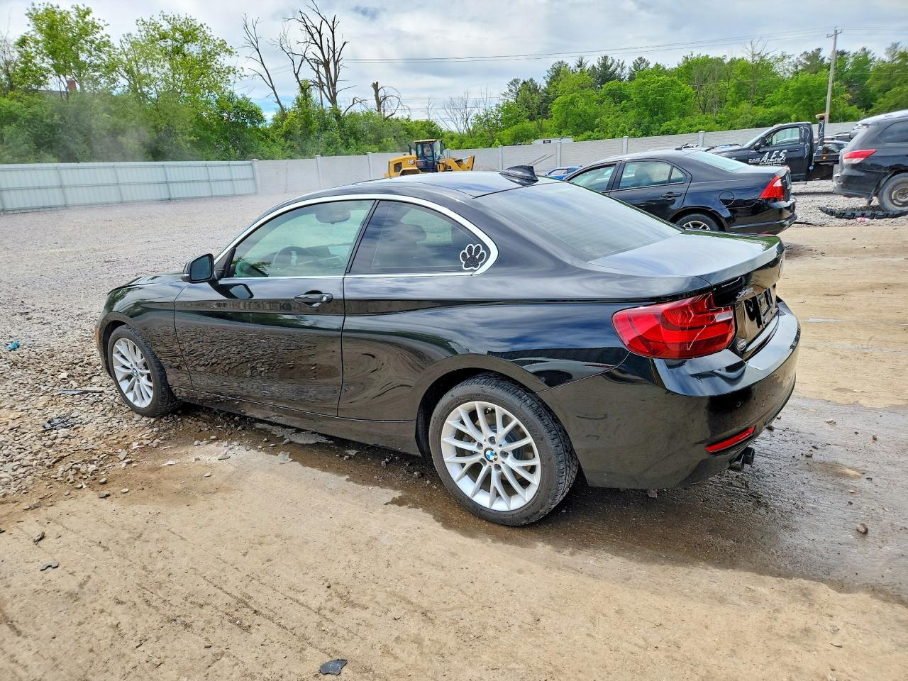 2016 BMW 228 Xi Sulev - zdjęcie 2