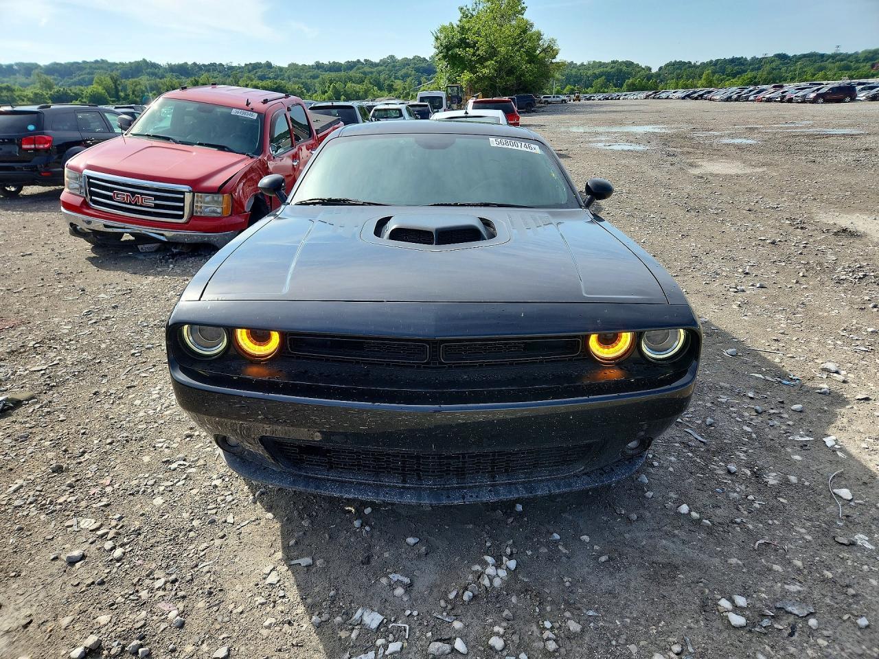 2016 Dodge Challenger Sxt Plus - zdjęcie 5