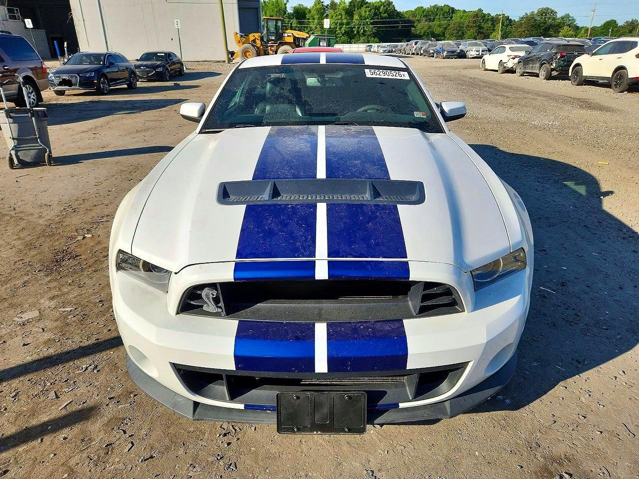 2014 Ford Mustang Shelby Gt500 - zdjęcie 5