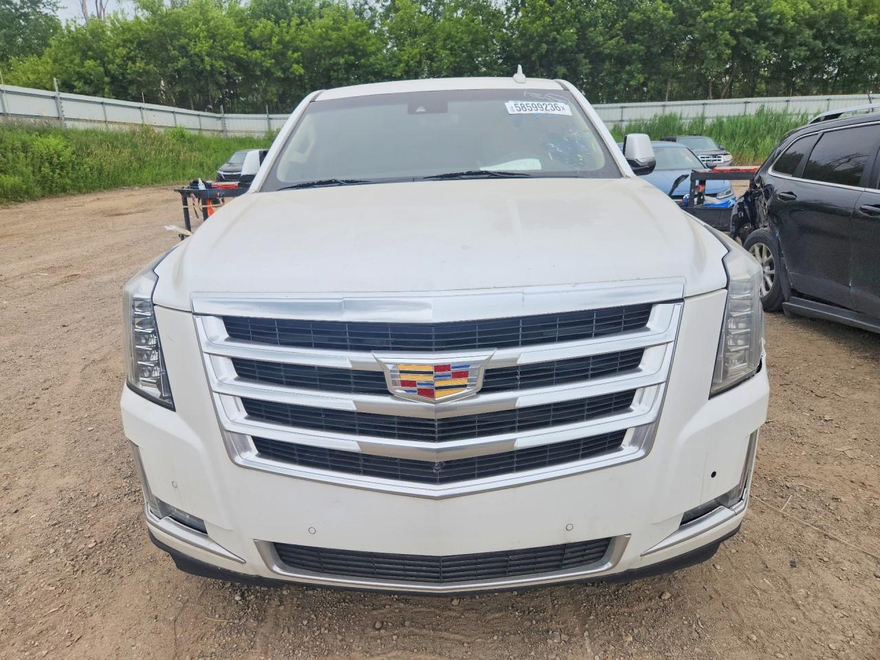 2017 Cadillac Escalade 4Wd Luxury - zdjęcie 5