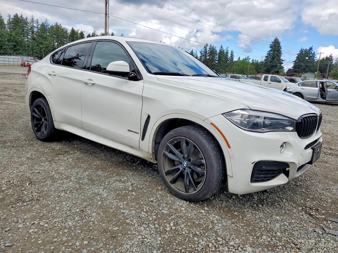 2018 BMW X6 xDrive35I - zdjęcie 4