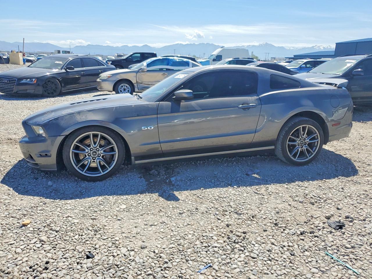 2014 Ford Mustang Gt - zdjęcie główne