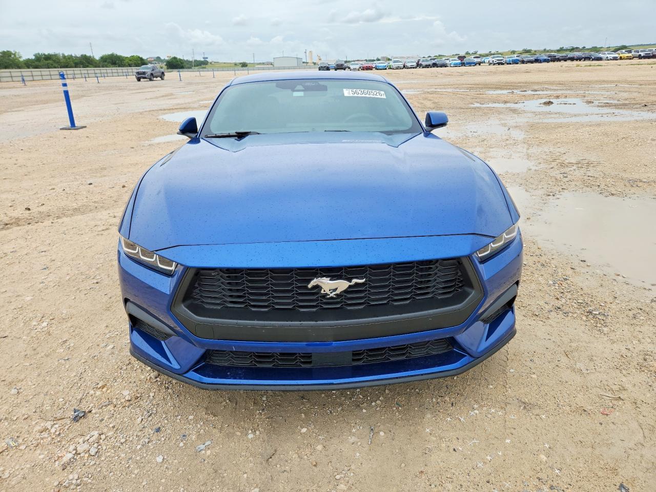 2024 Ford Mustang - zdjęcie 5