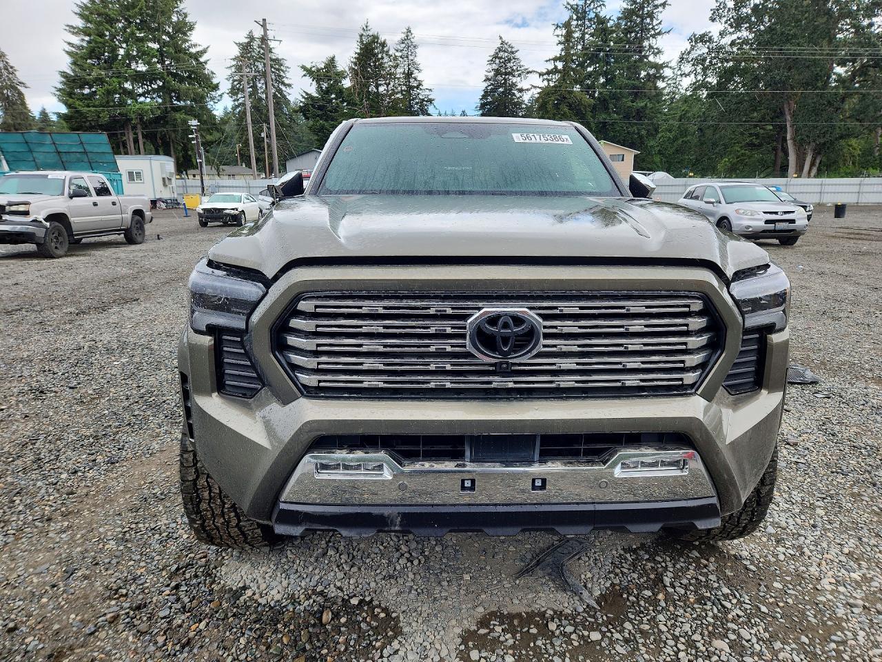 2025 Toyota Tacoma Limited Hv - zdjęcie 5