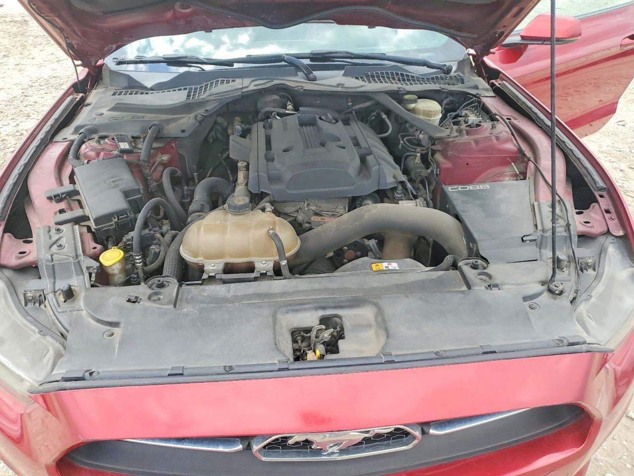 2015 Ford Mustang - zdjęcie 11
