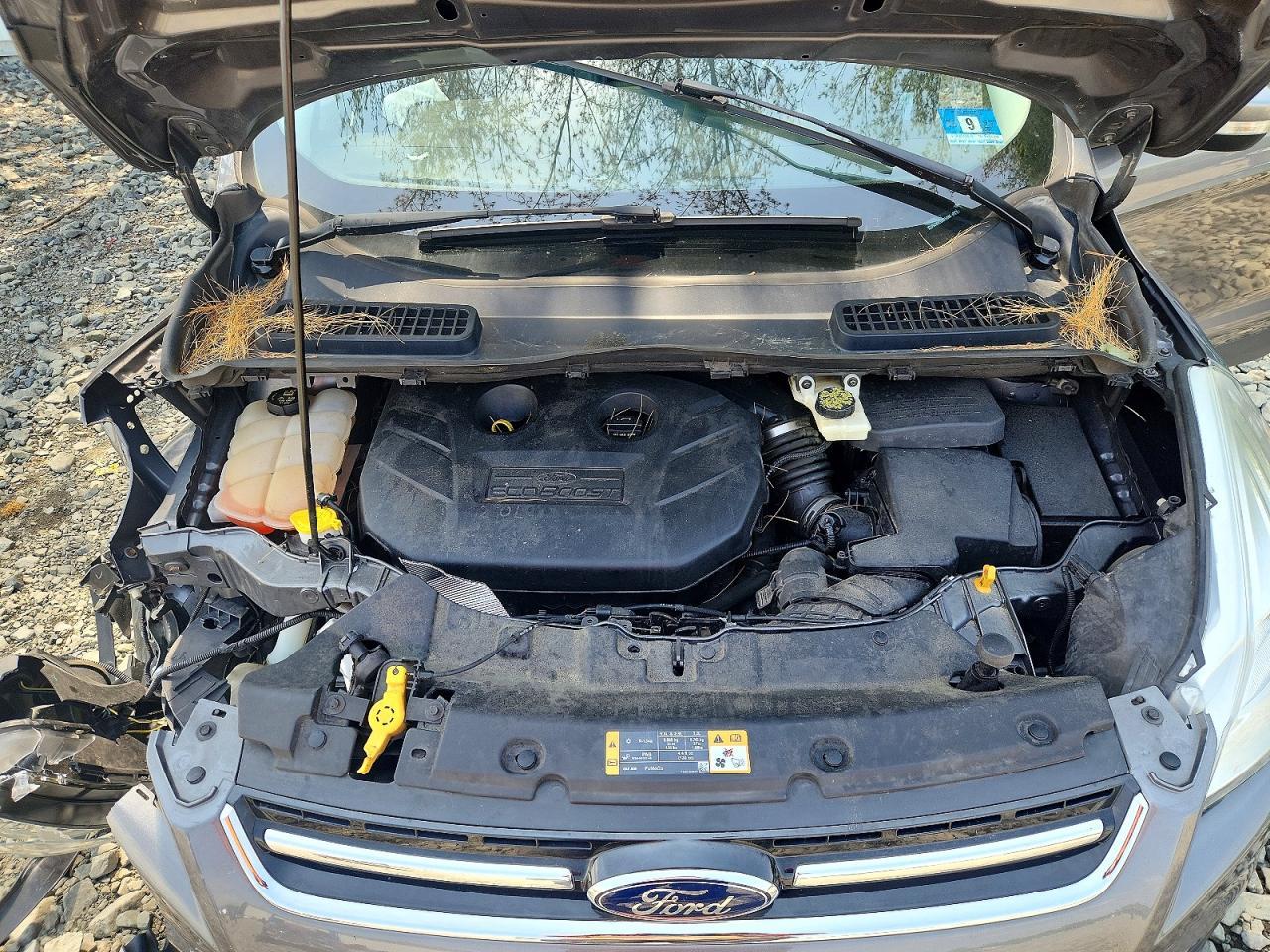 2014 Ford Escape Titanium - zdjęcie 11
