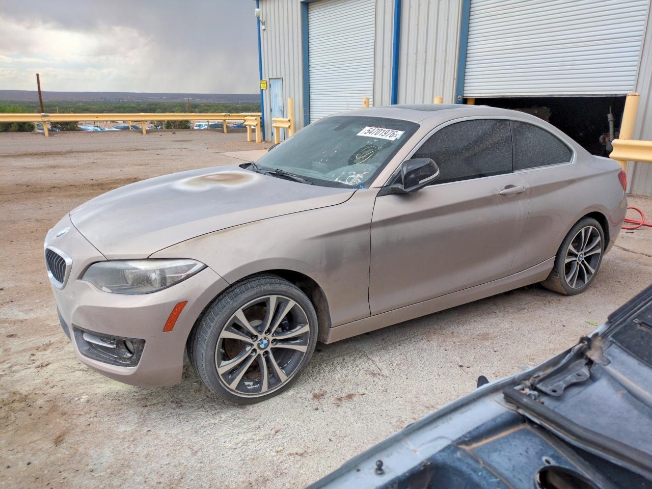 2015 BMW 228 I - zdjęcie główne