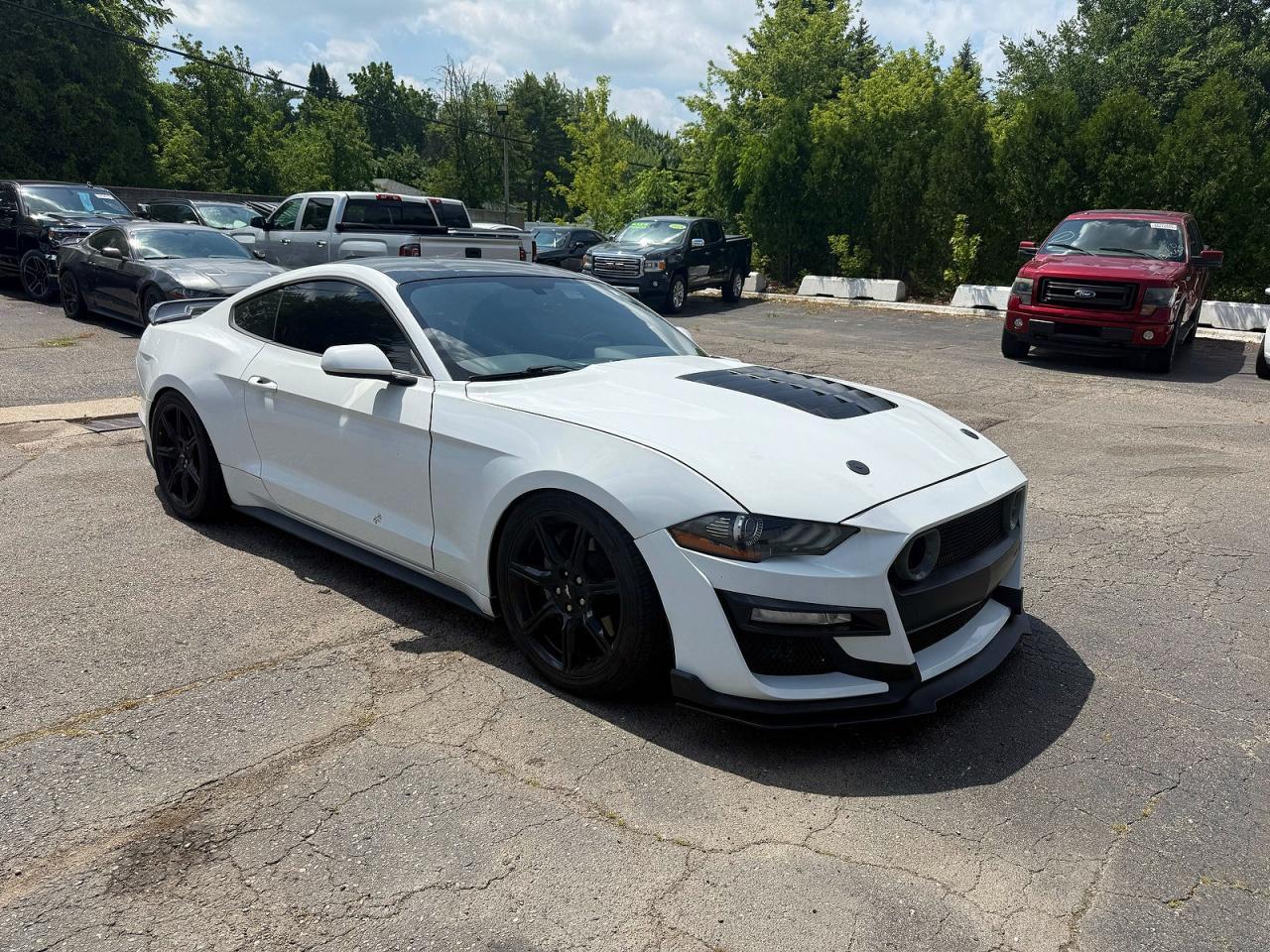 2019 Ford Mustang Gt - zdjęcie główne