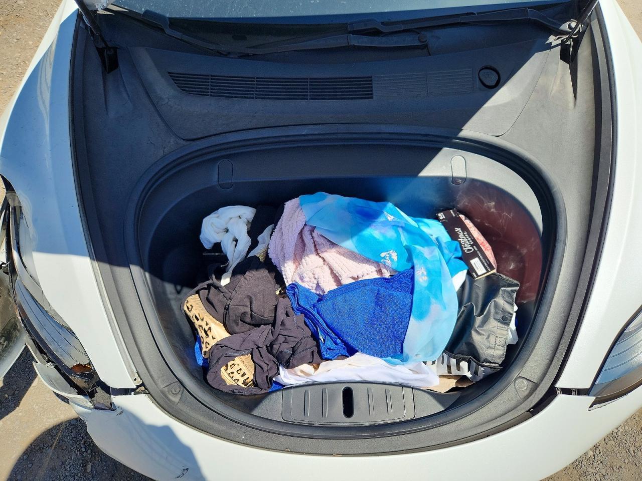2019 Tesla Model 3 - zdjęcie 11