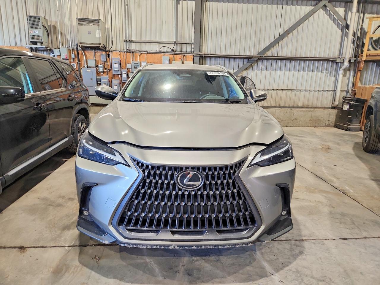 2024 Lexus Nx 350 - zdjęcie 5