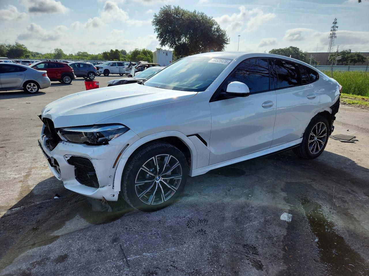 2023 BMW X6