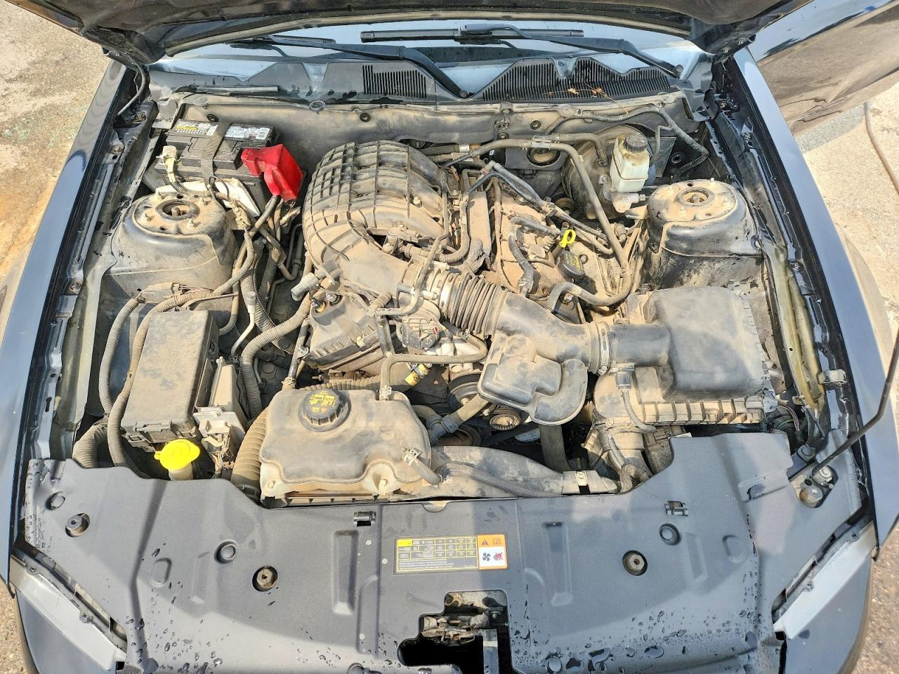 2014 Ford Mustang - zdjęcie 11
