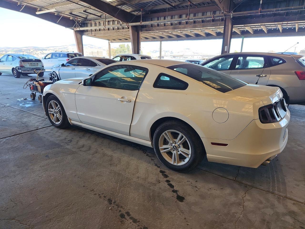 2013 Ford Mustang - zdjęcie 2
