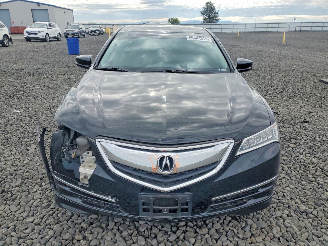 2015 Acura Tlx Tech - zdjęcie 5