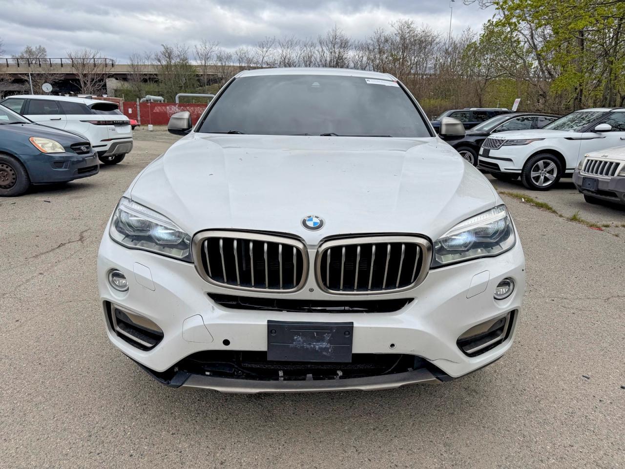 2017 BMW X6 xDrive50I - zdjęcie 14
