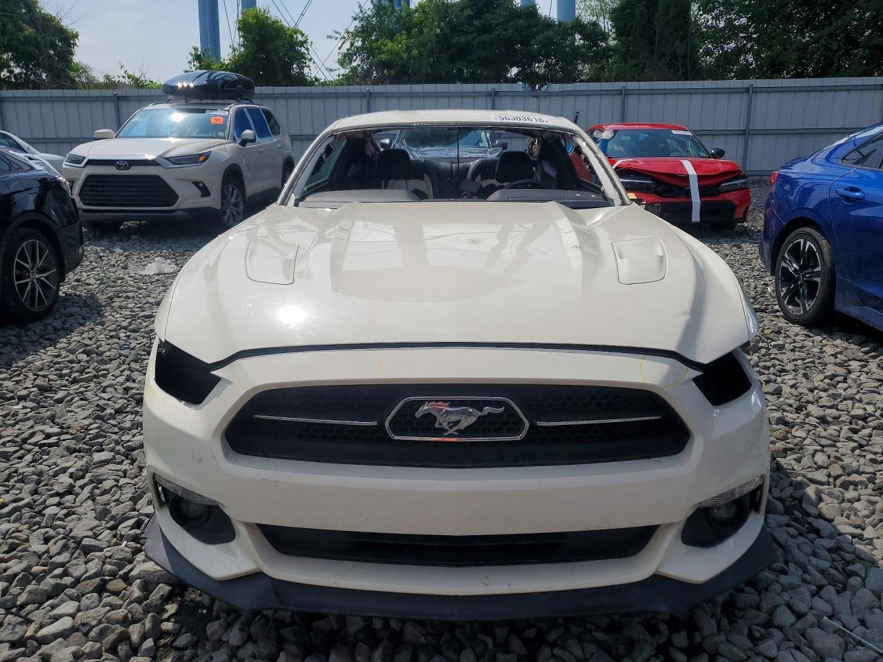 2015 Ford Mustang 50Th Anniversary - zdjęcie 5