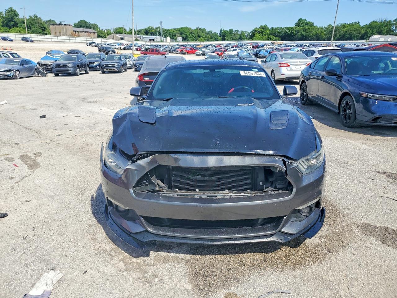 2016 Ford Mustang Gt - zdjęcie 5