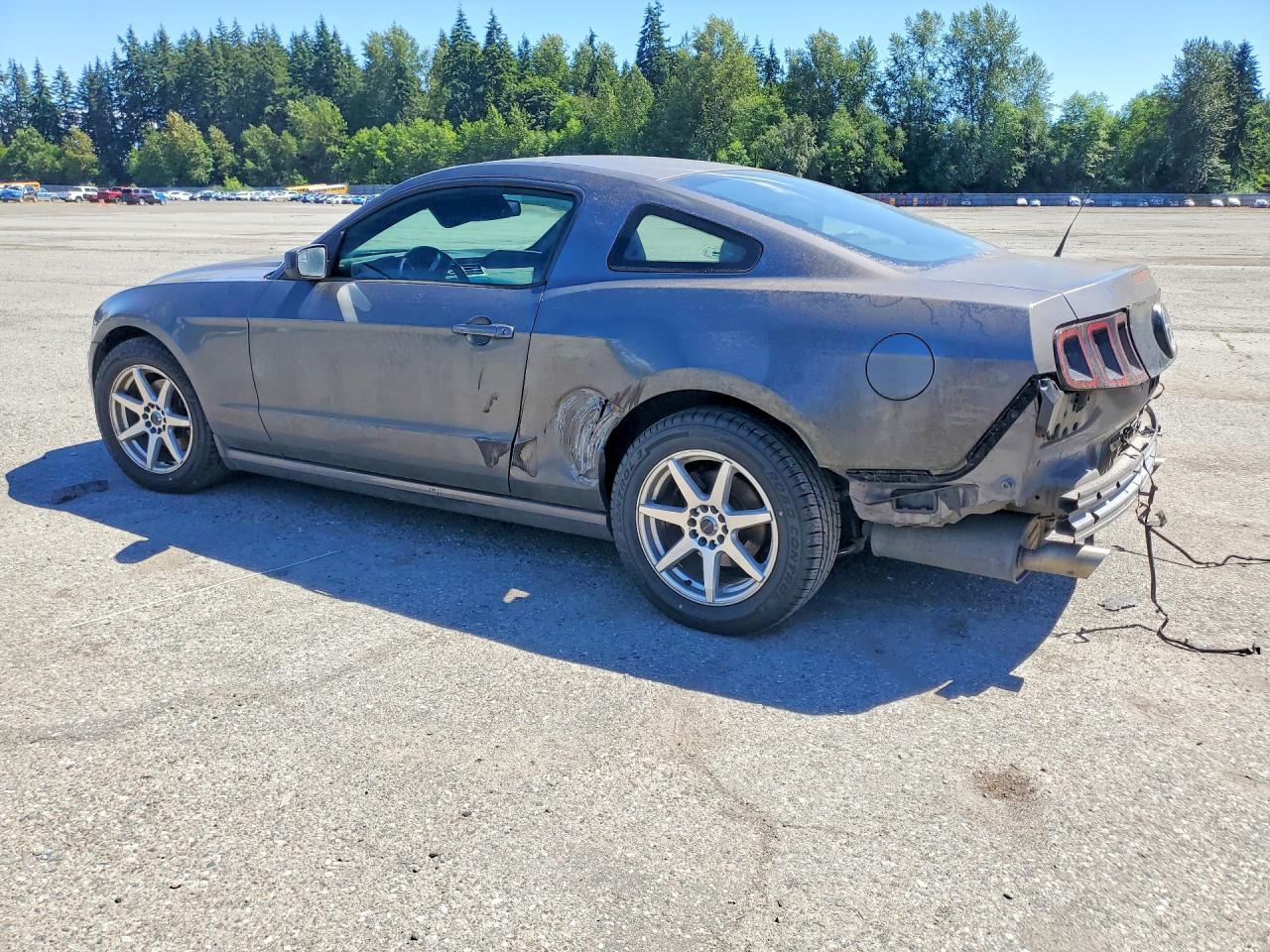 2014 Ford Mustang - zdjęcie 2