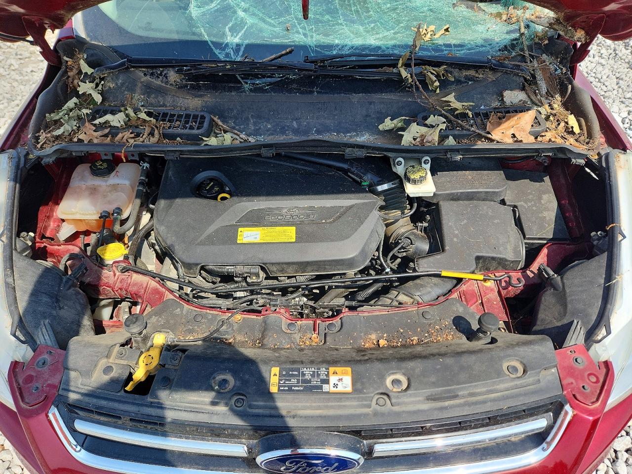 2014 Ford Escape Titanium - zdjęcie 11