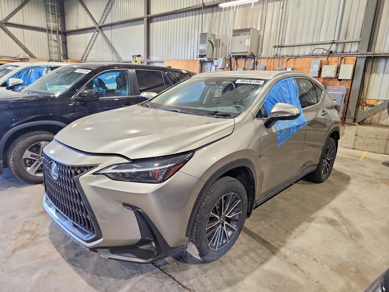 2024 Lexus Nx 350 - zdjęcie główne