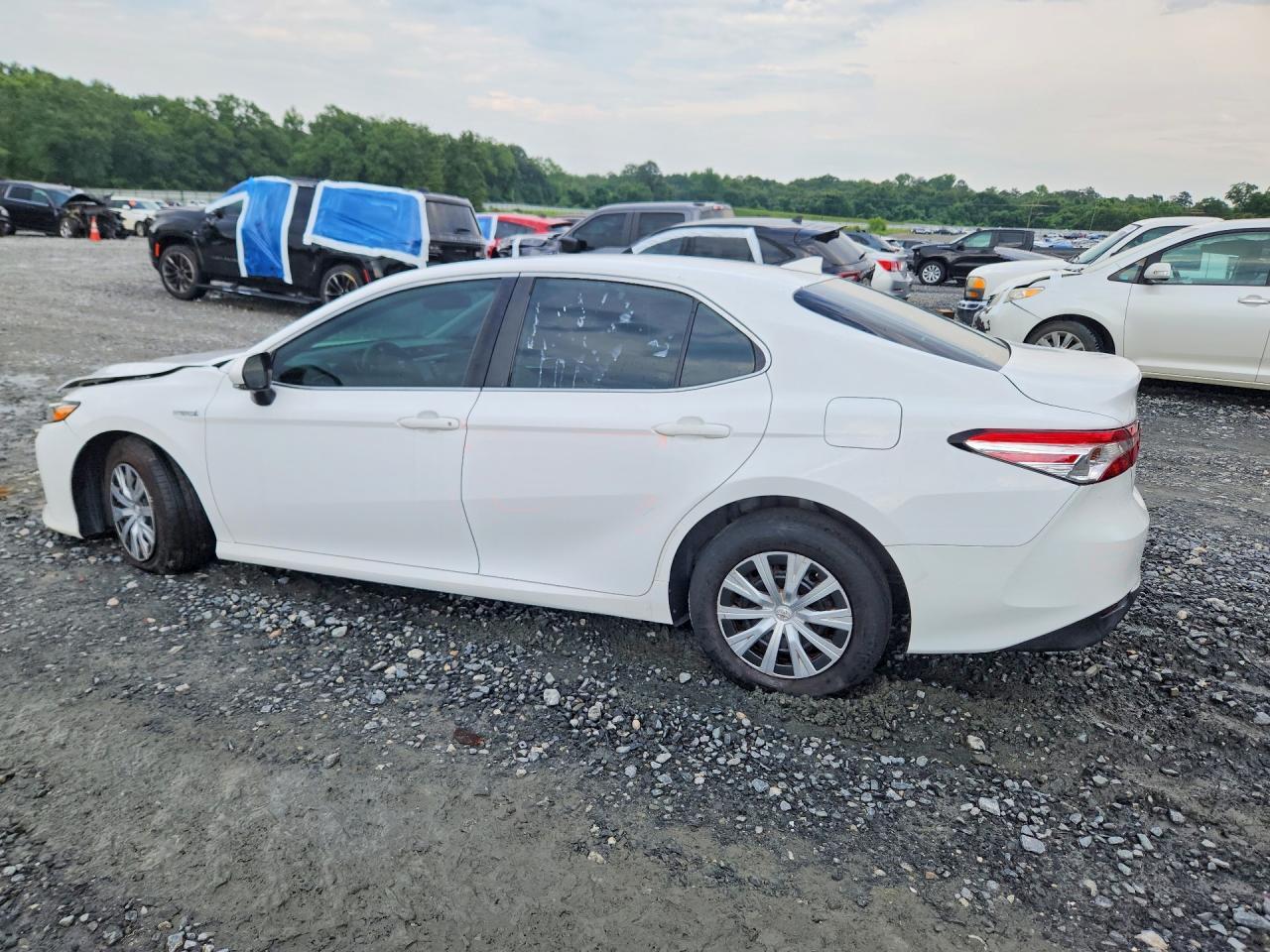 2019 Toyota Camry Hybrid Le - zdjęcie 2