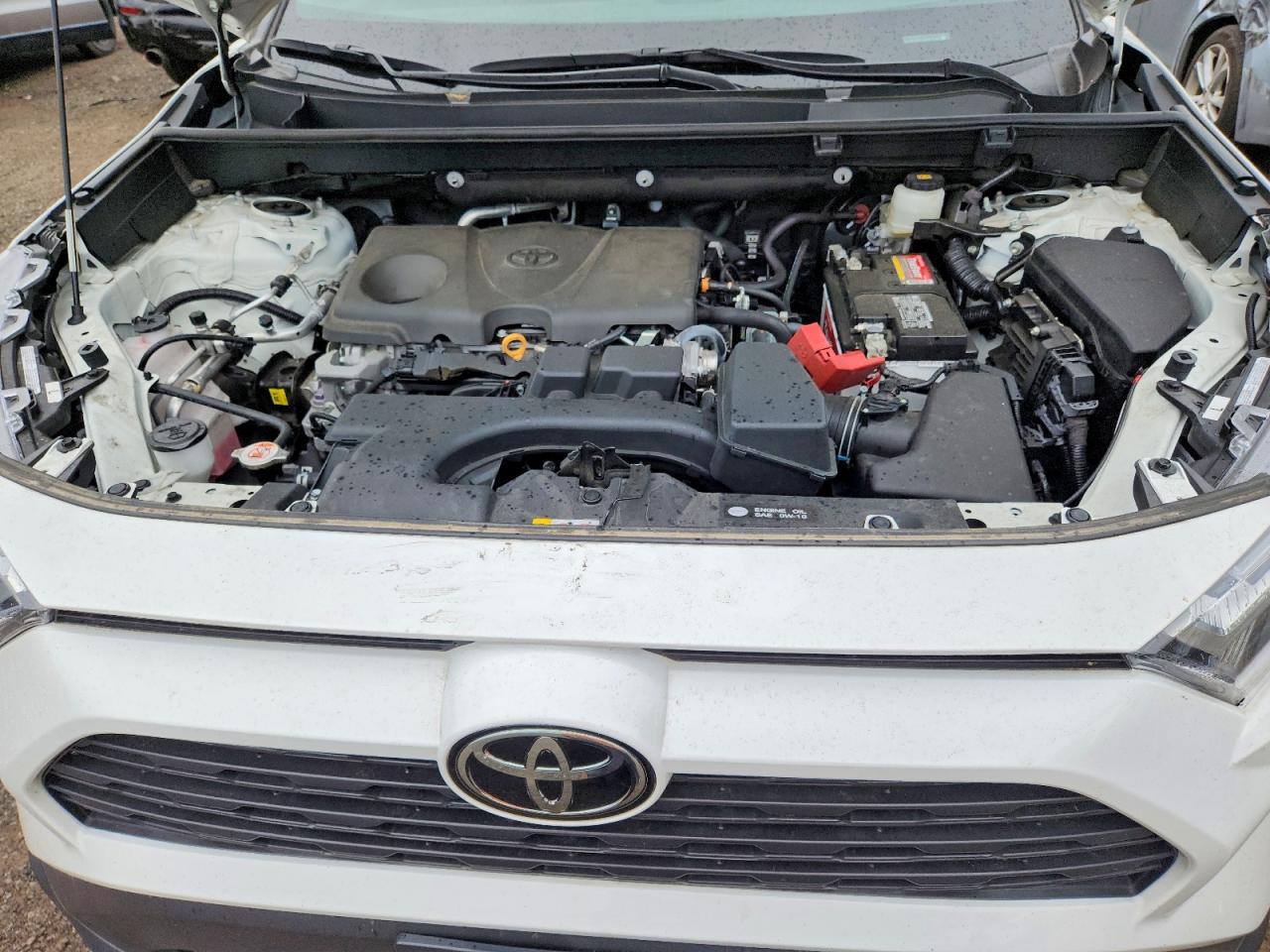 2024 Toyota Rav4 Le - zdjęcie 11