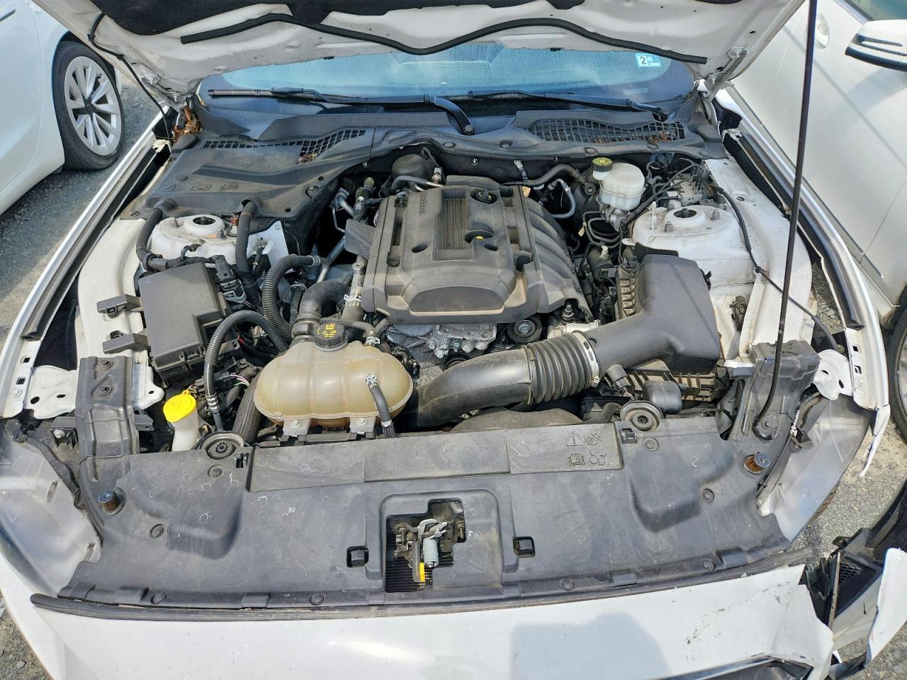 2019 Ford Mustang - zdjęcie 11
