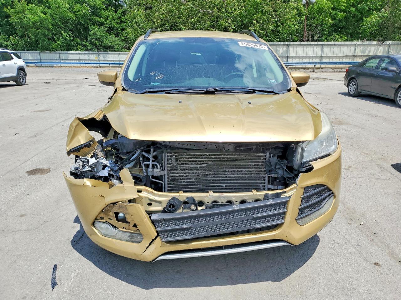 2014 Ford Escape Se - zdjęcie 5