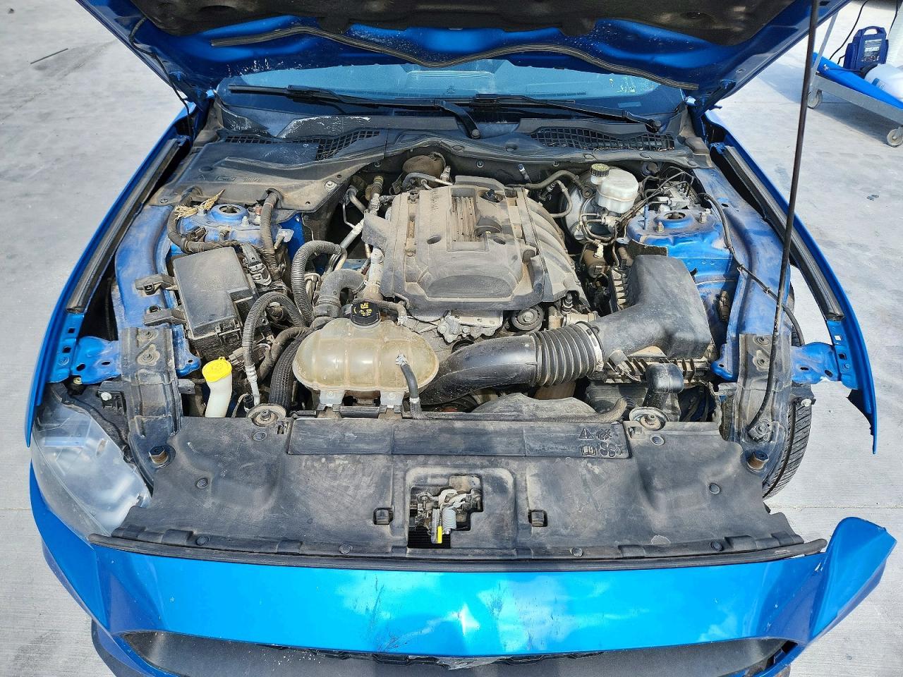 2019 Ford Mustang - zdjęcie 11