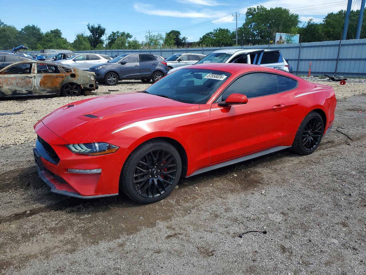 Ford Mustang Coupe - zdjęcie 1