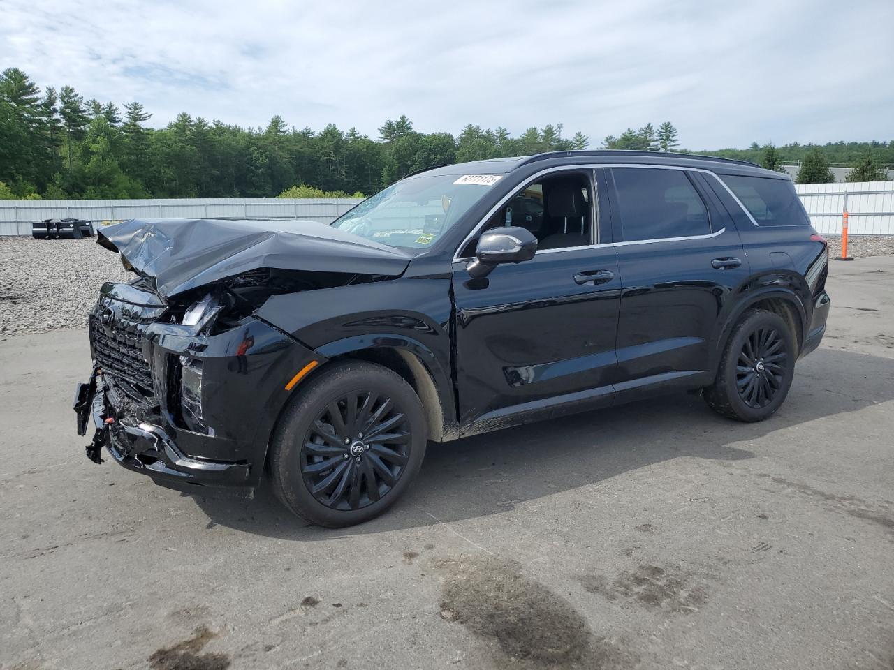 2025 Hyundai Palisade Calligraphy - zdjęcie główne
