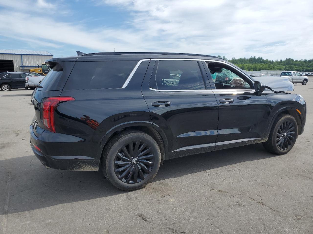 2025 Hyundai Palisade Calligraphy - zdjęcie 3