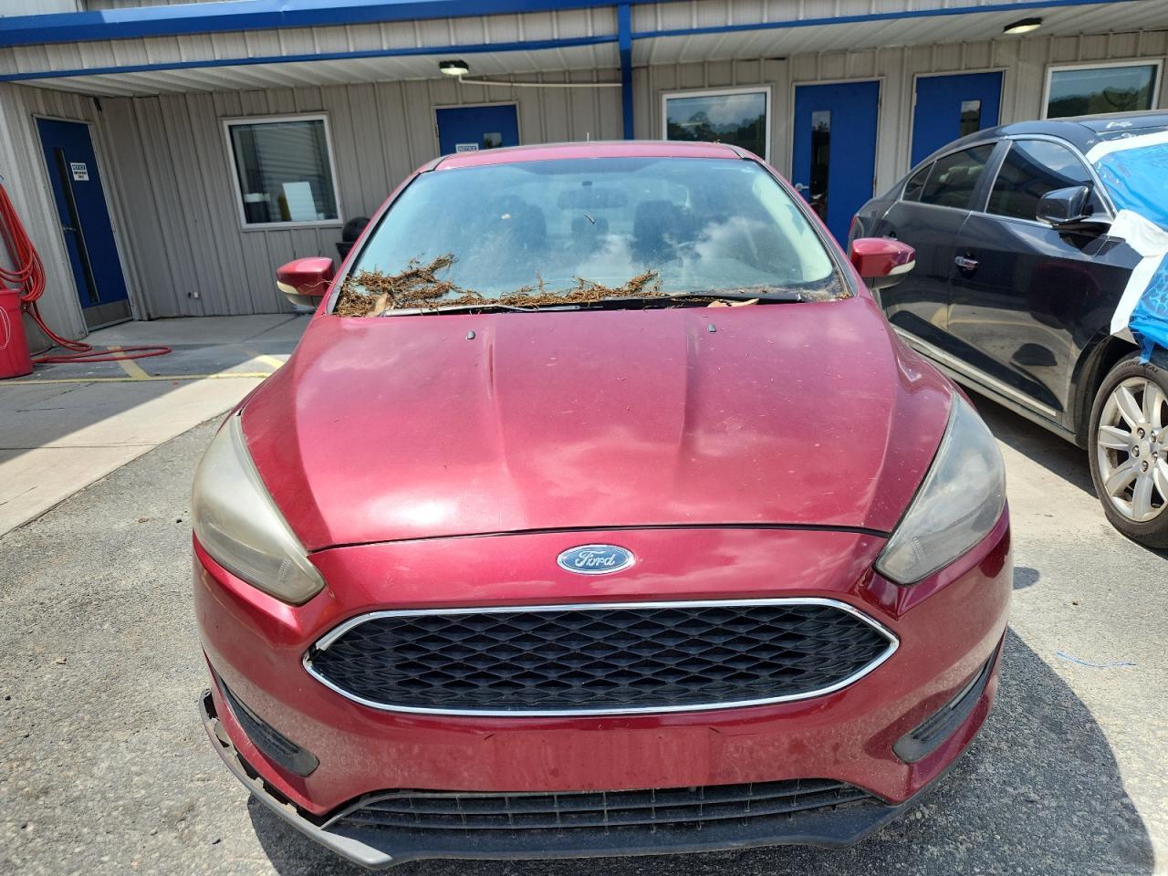 2017 Ford Focus Sel - zdjęcie 5