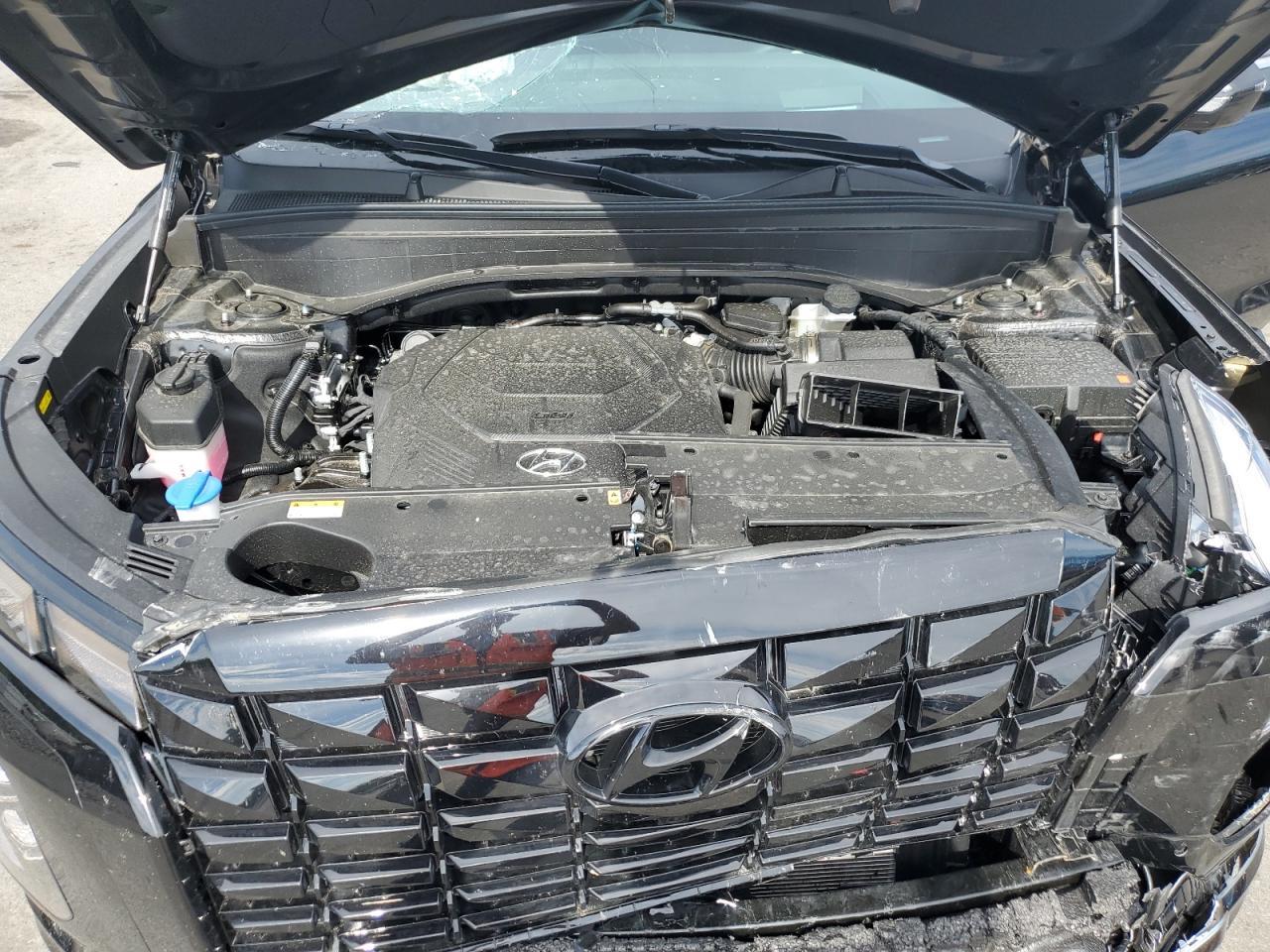 2025 Hyundai Palisade Calligraphy - zdjęcie 12