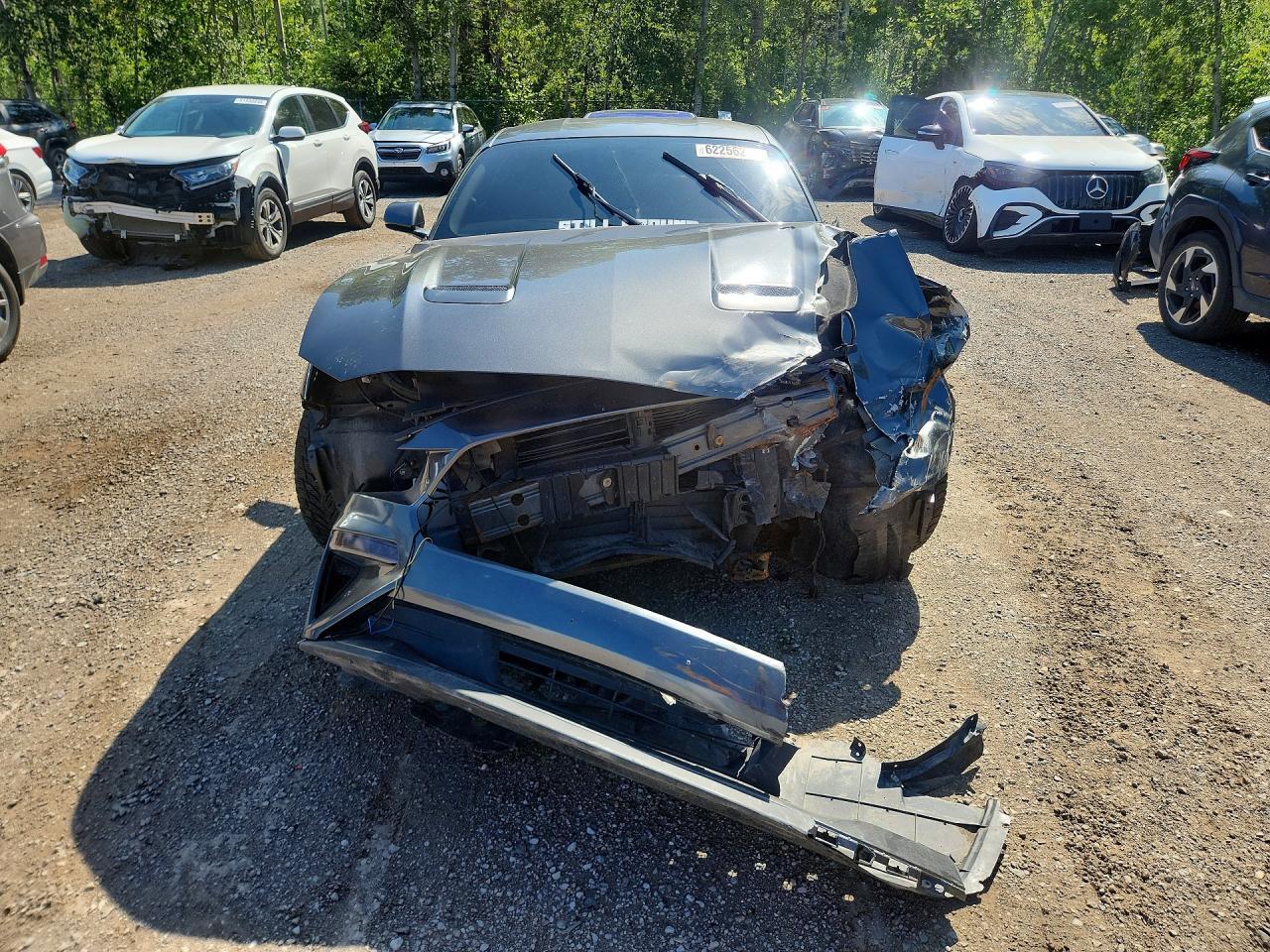 2019 Ford Mustang - zdjęcie 5
