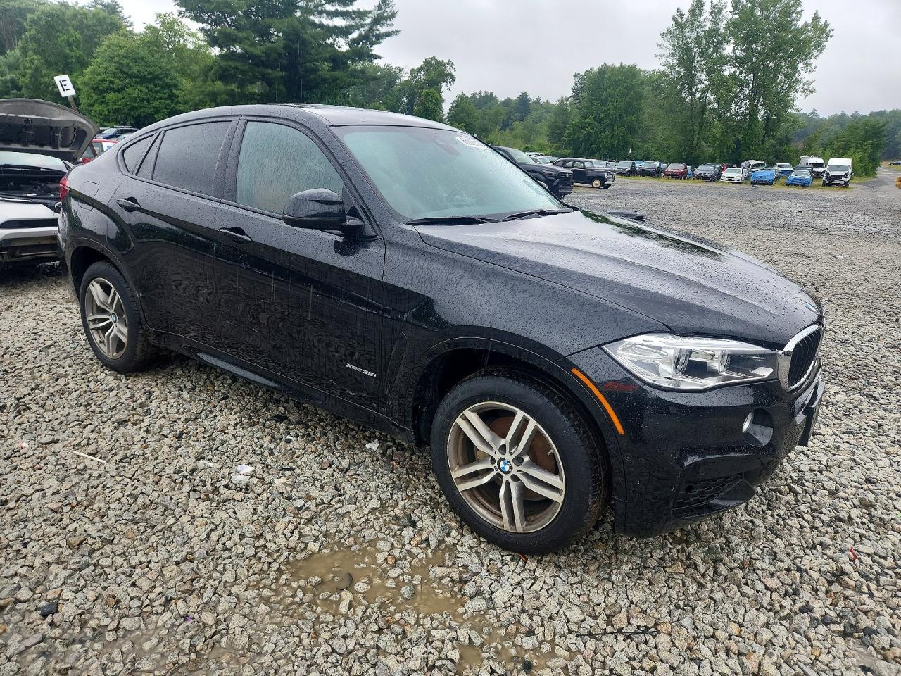2019 BMW X6 xDrive35I - zdjęcie 4