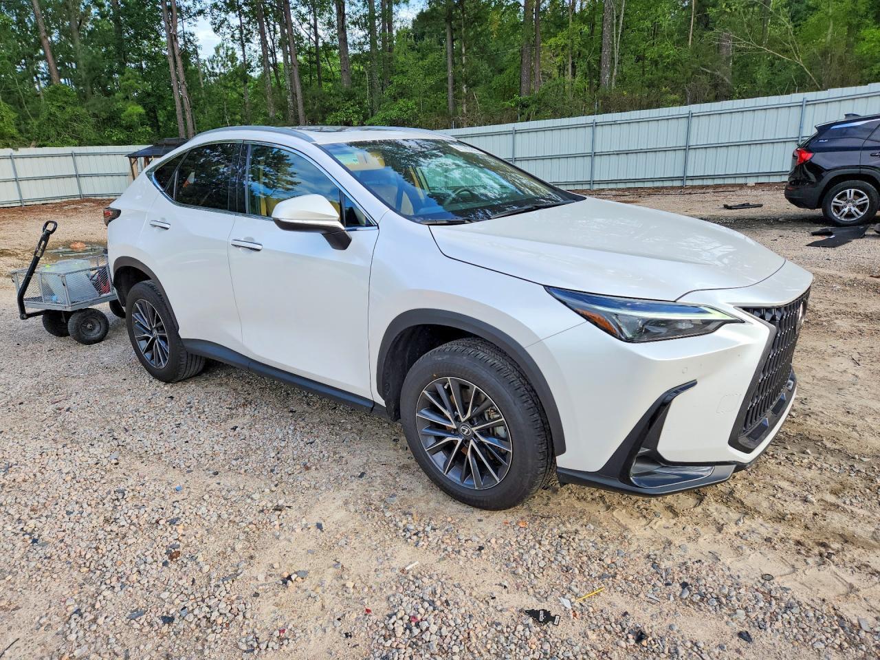 2022 Lexus Nx 250 - zdjęcie 4