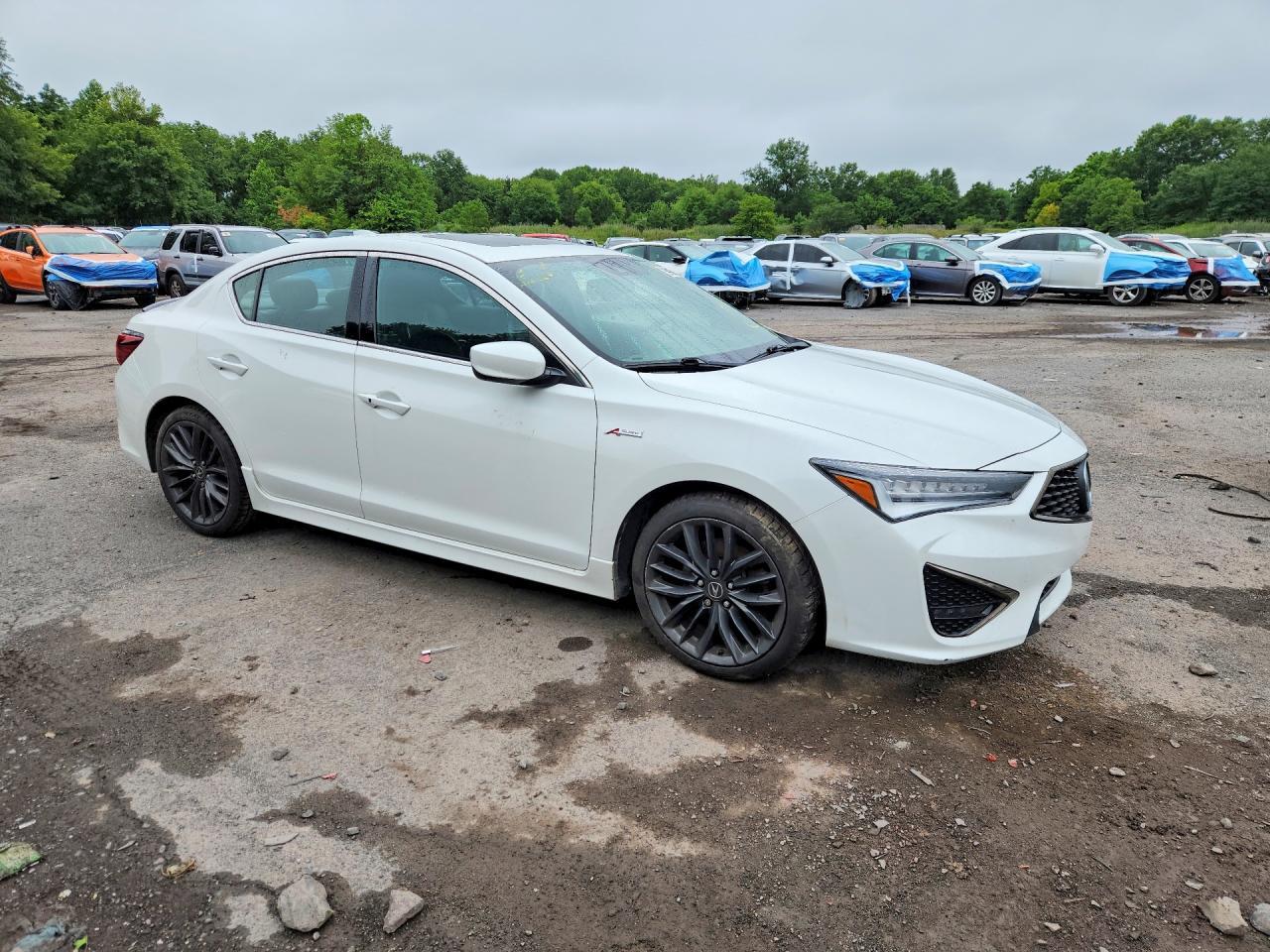 2019 Acura Ilx Premium A-Spec - zdjęcie 4