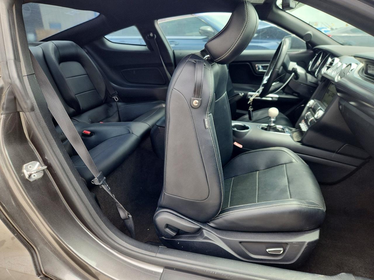 2016 Ford Mustang Gt - zdjęcie 10