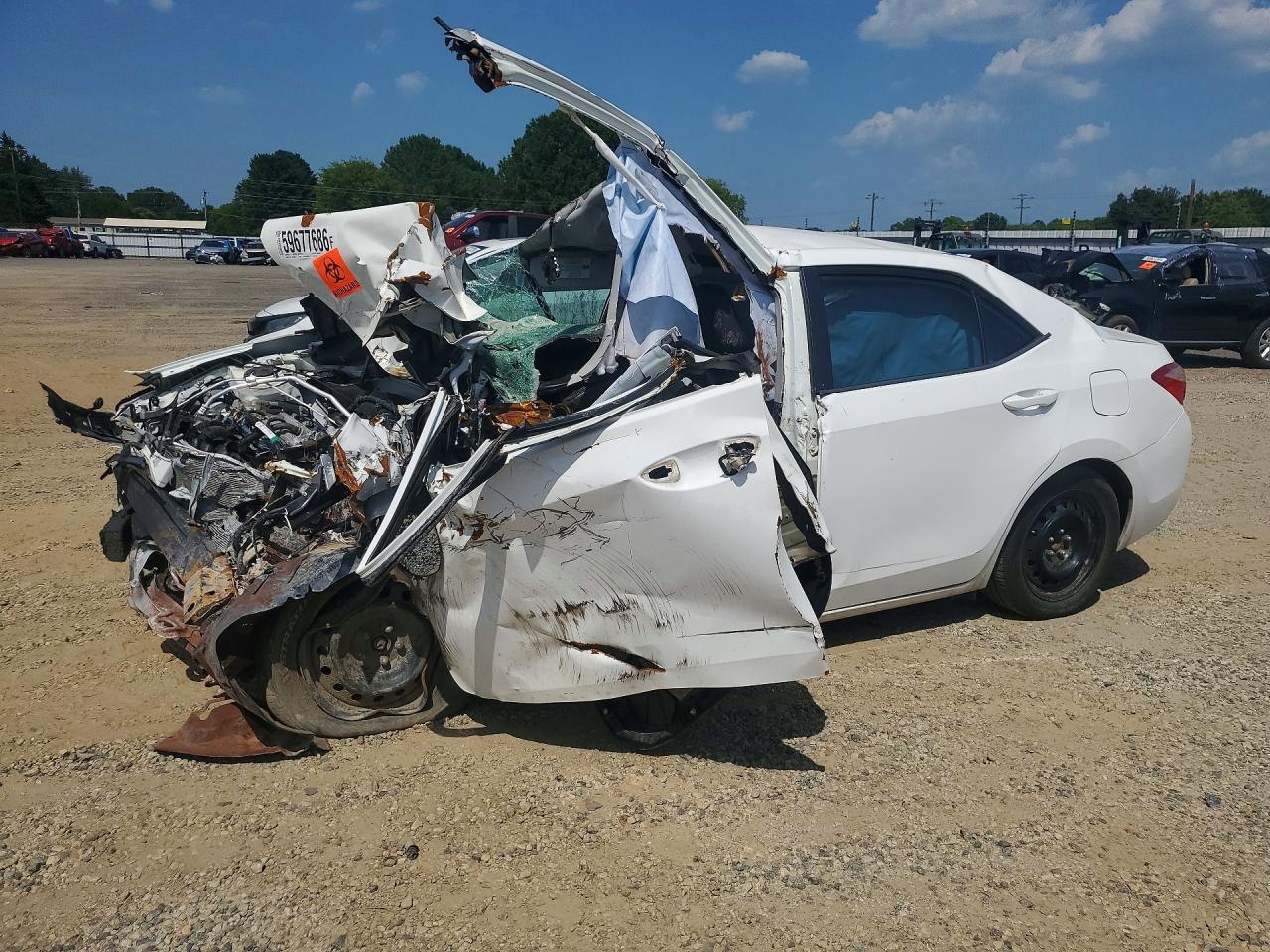 2019 Toyota Corolla Le - zdjęcie główne