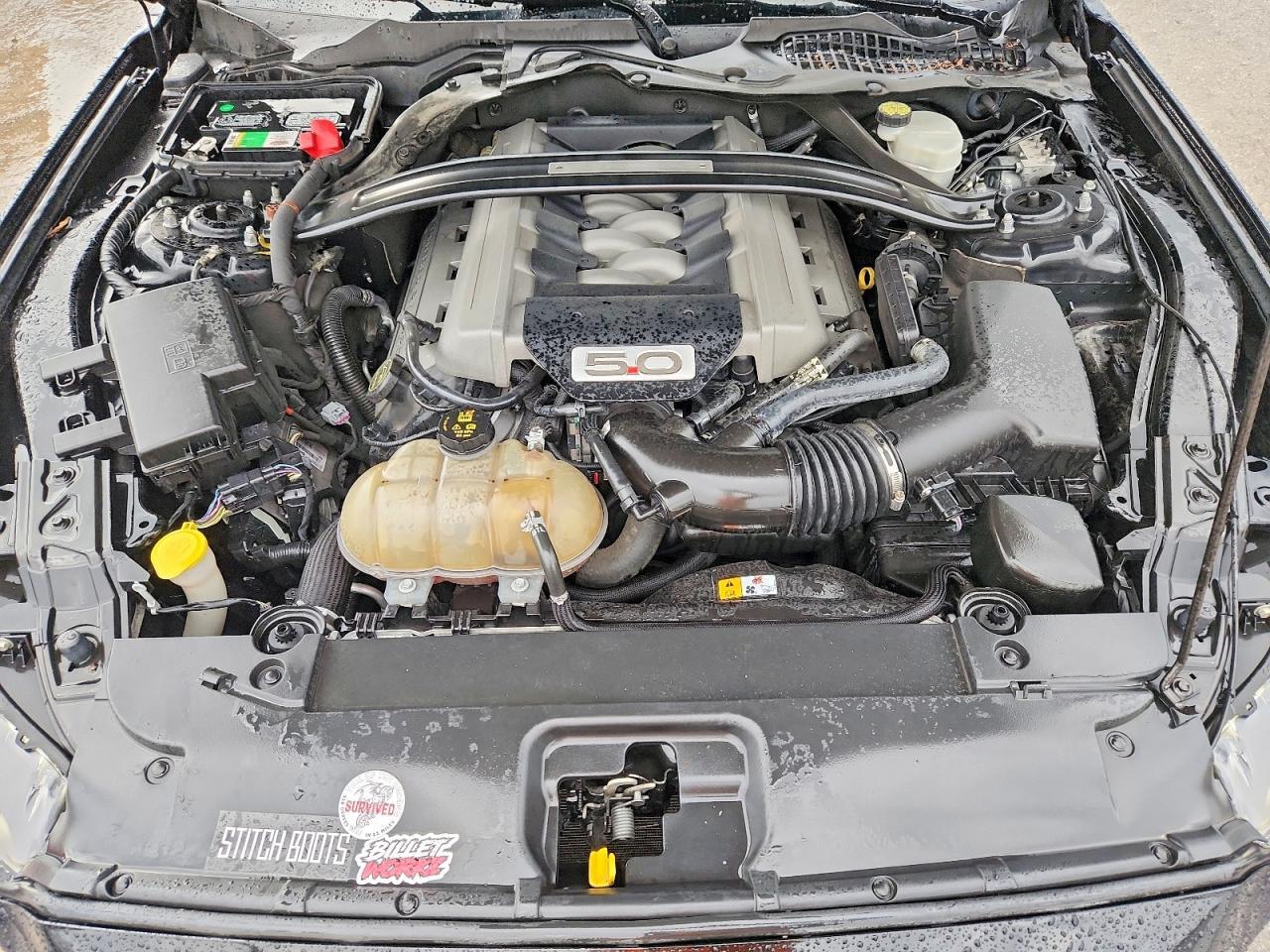 2016 Ford Mustang Gt - zdjęcie 11