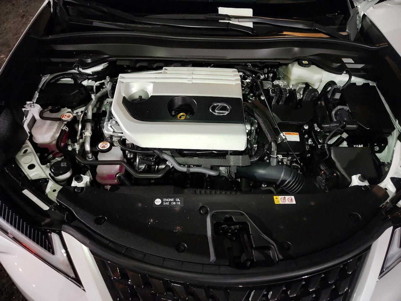2024 Lexus Ux 250H Base - zdjęcie 12