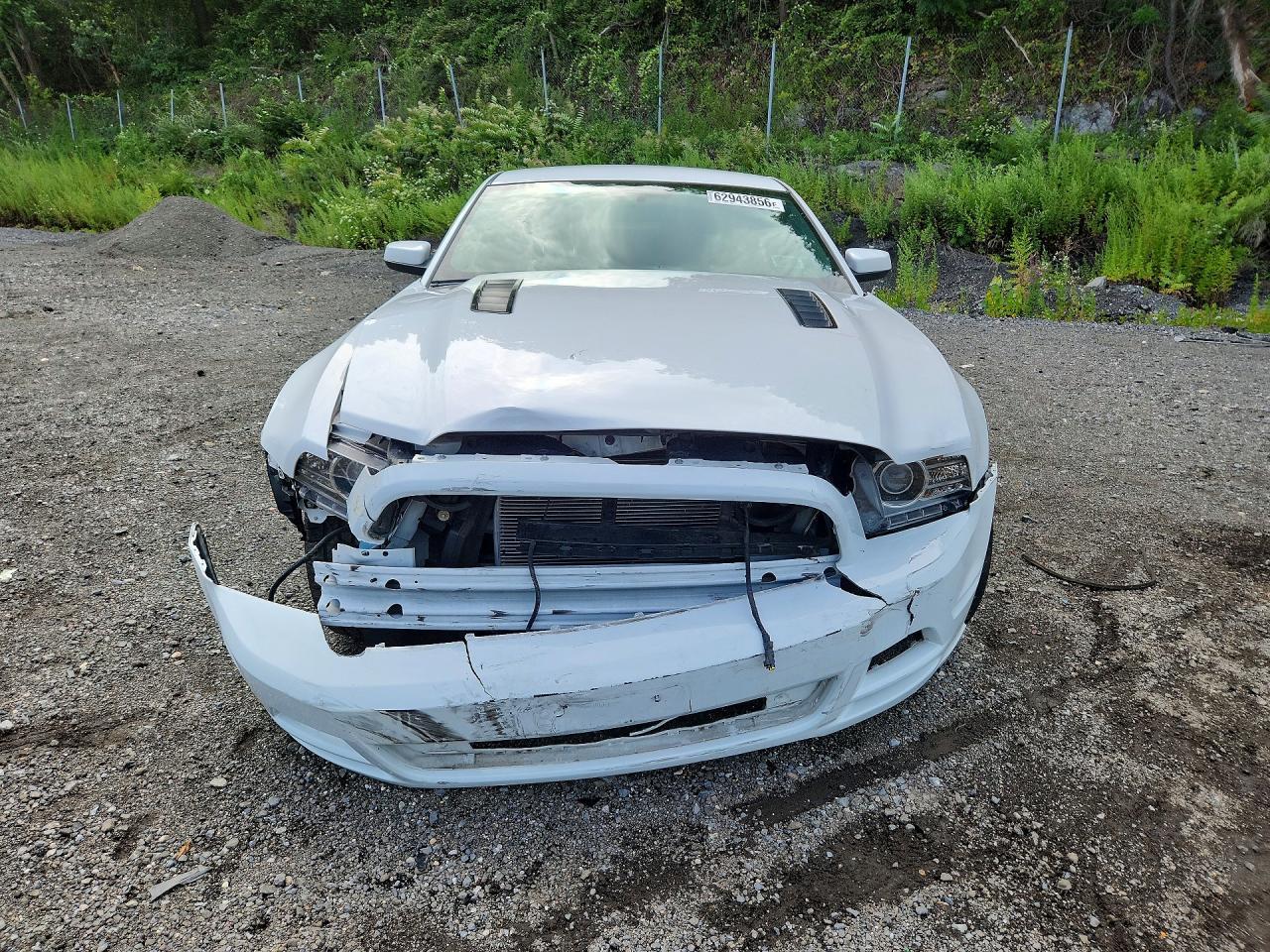 2014 Ford Mustang Gt - zdjęcie 5