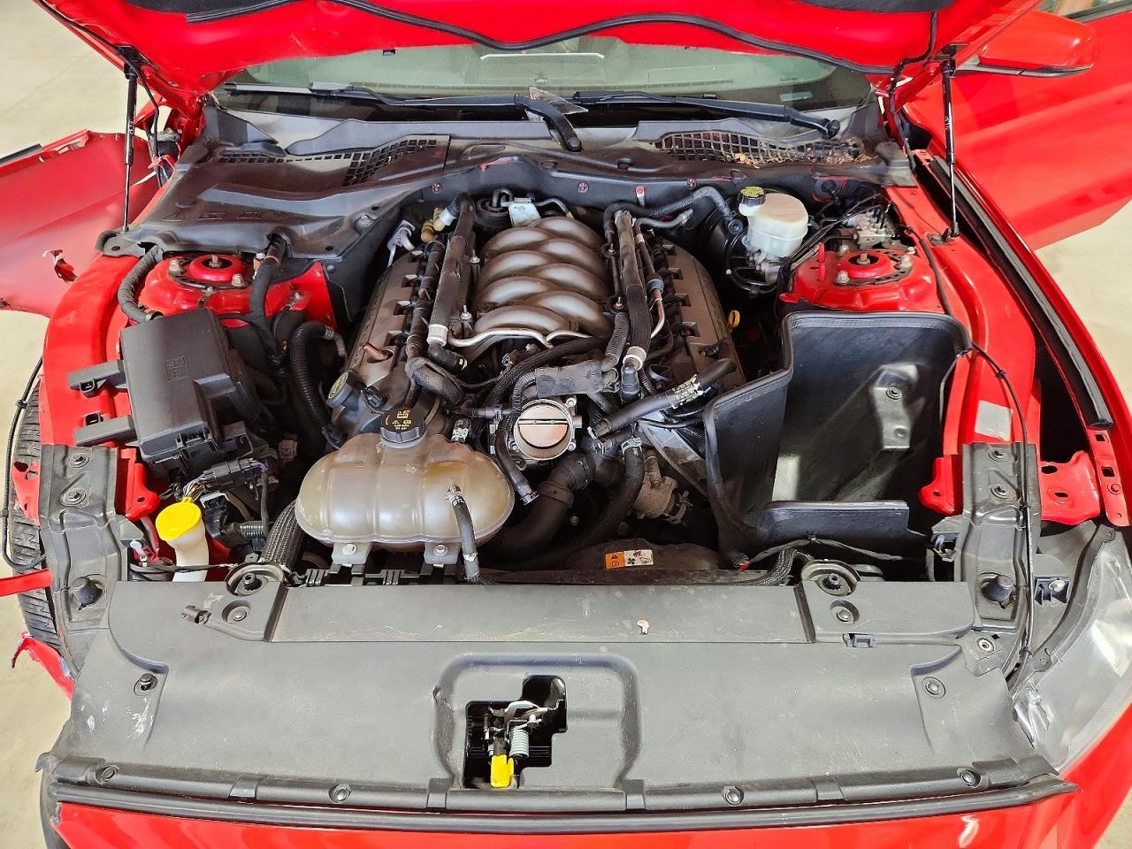 2016 Ford Mustang Gt - zdjęcie 11