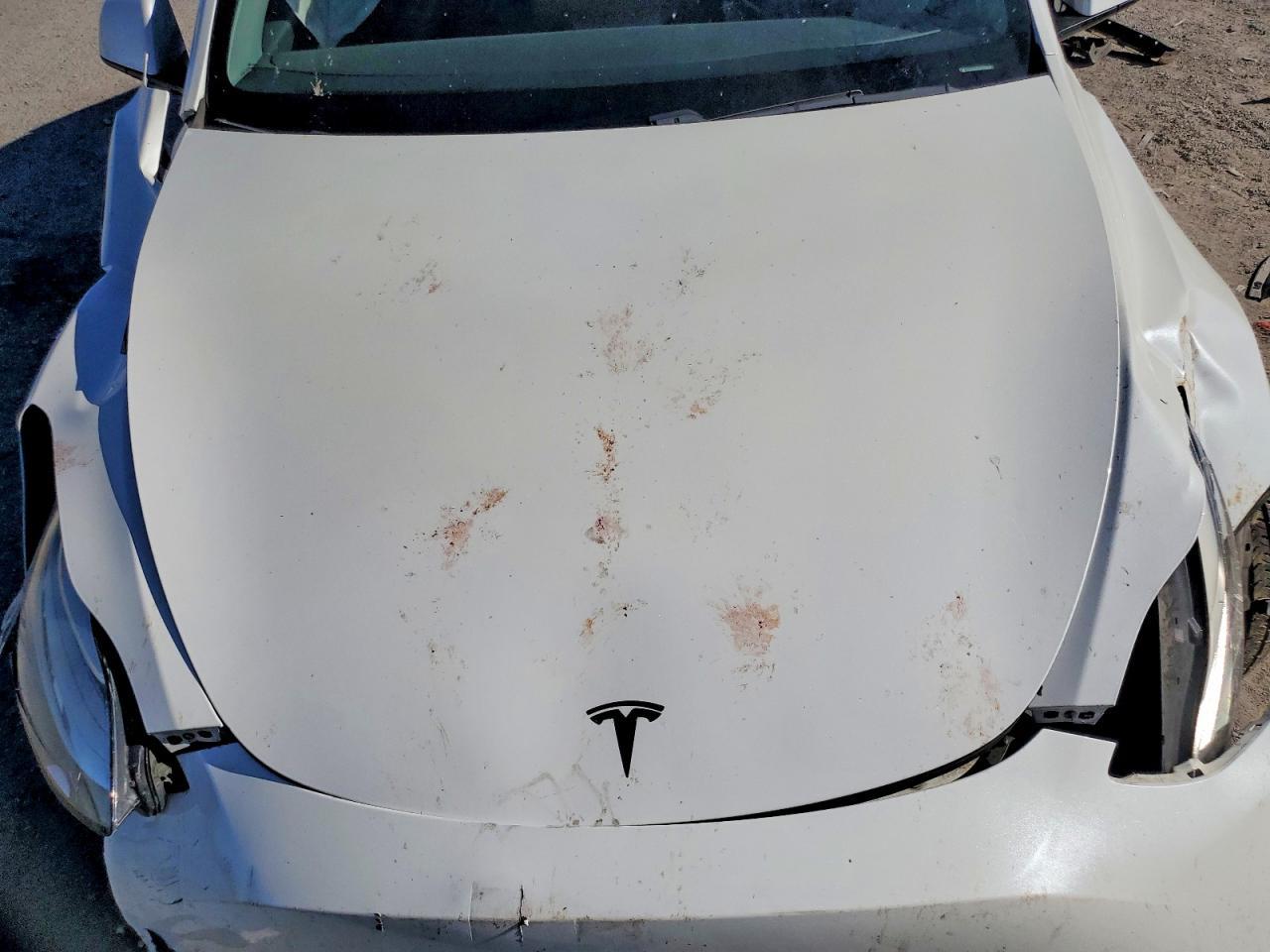2020 Tesla Model Y - zdjęcie 11