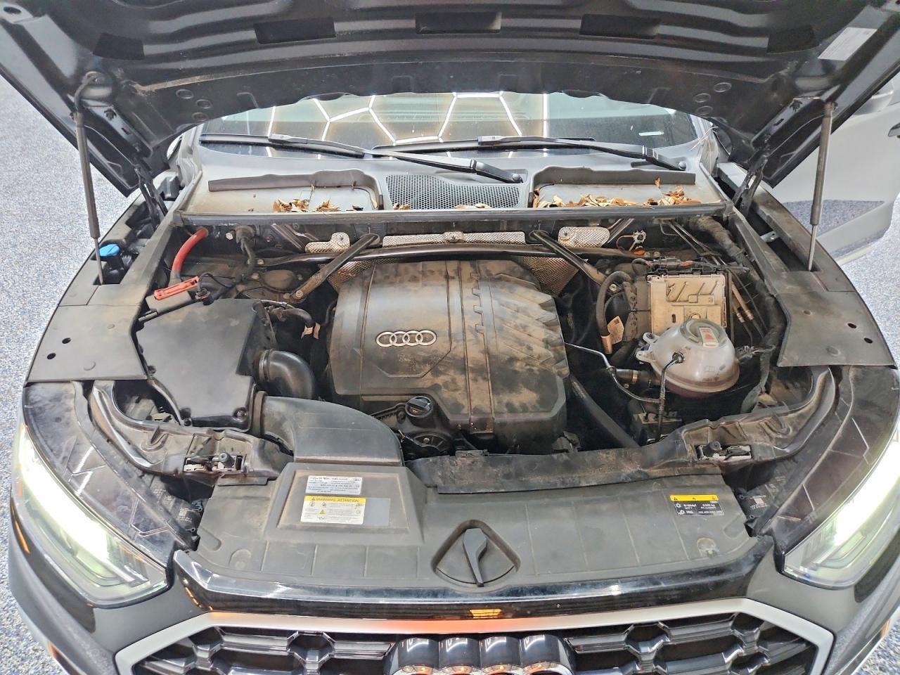 2024 Audi Q5 Premium Plus 45 - zdjęcie 12