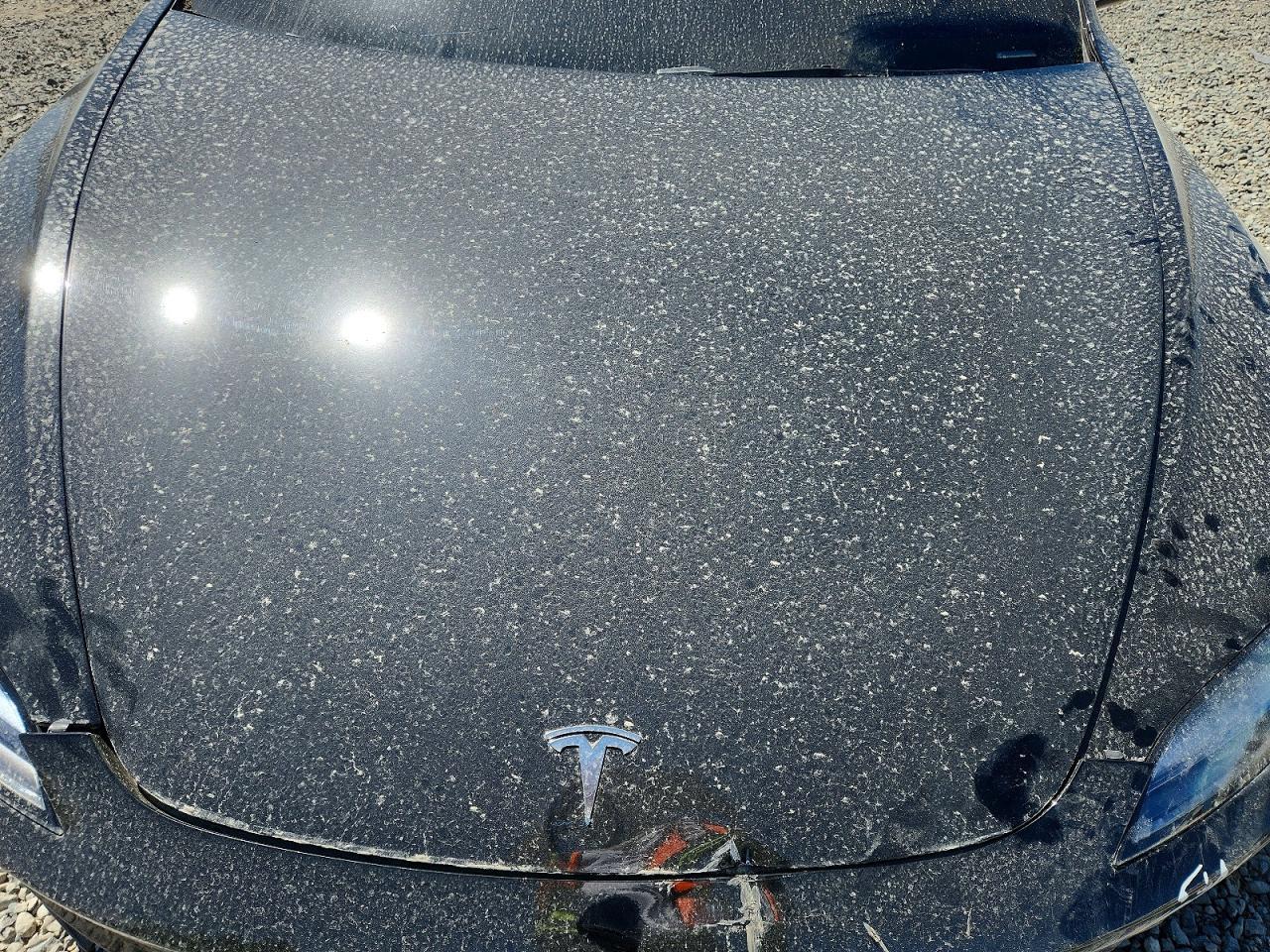 2024 Tesla Model 3 - zdjęcie 11