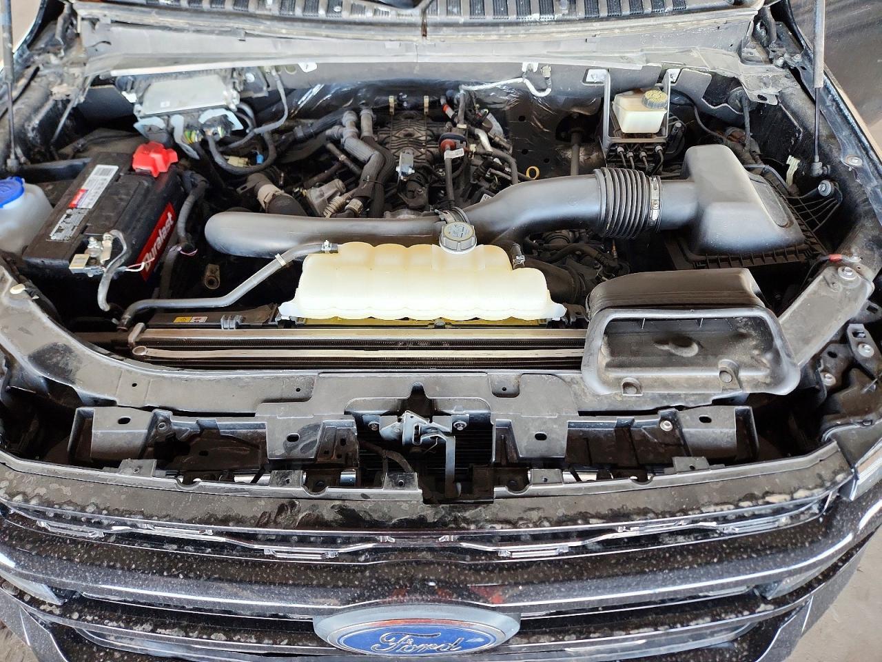 2024 Ford Expedition Max Xlt - zdjęcie 12