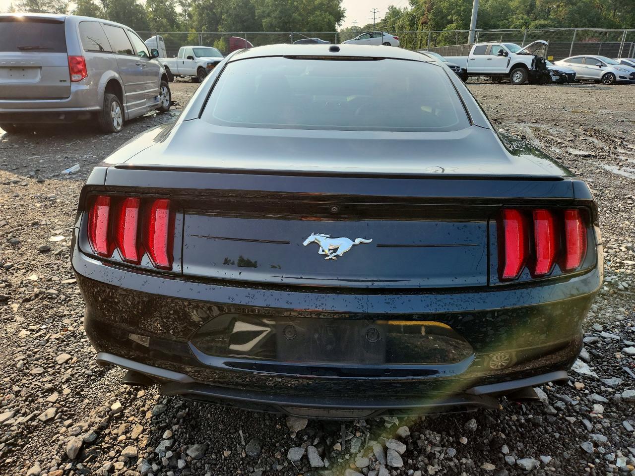 2019 Ford Mustang - zdjęcie 6