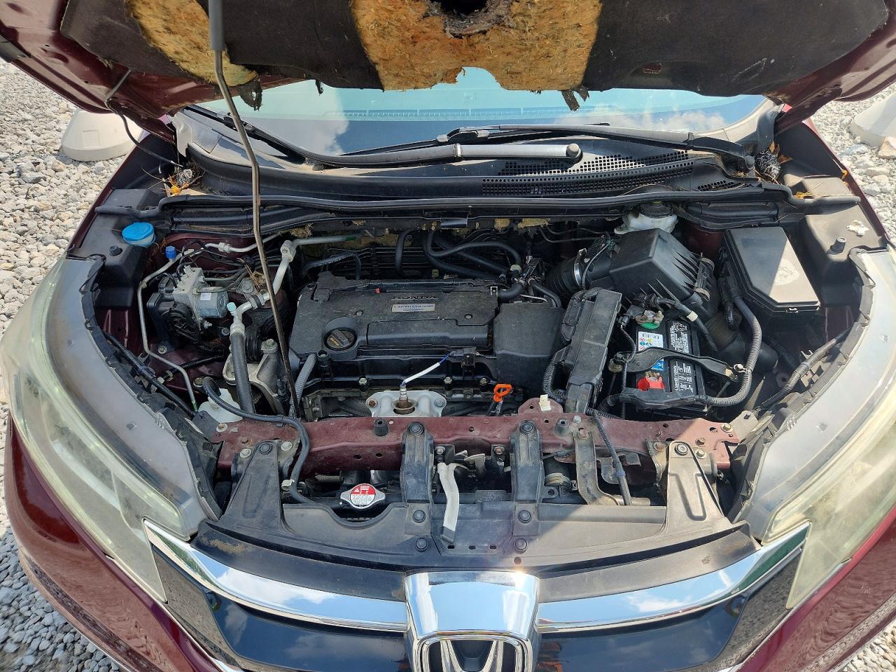 2016 Honda Cr-V Ex - zdjęcie 12